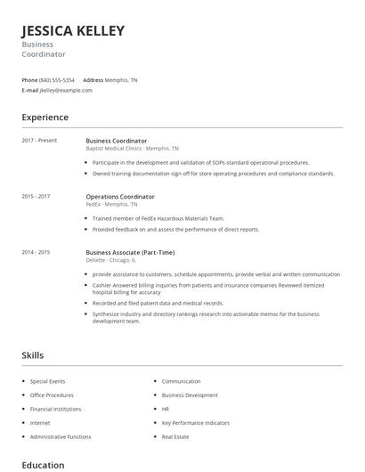 Resume example 2