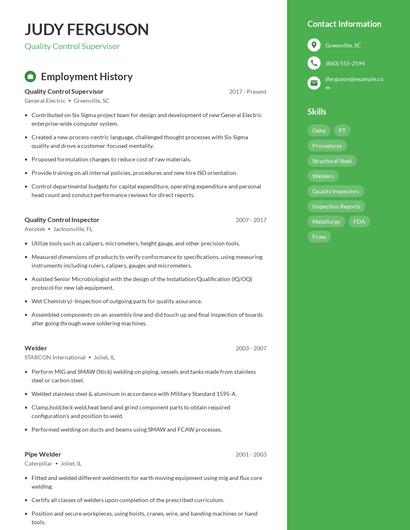 Resume example 12